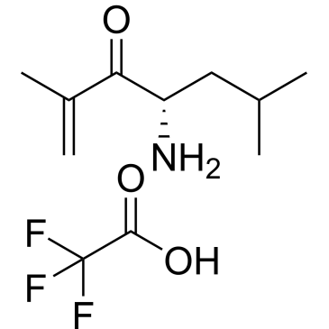(S)-4-Amino-2,6-dimethylhept-1-en-3-one 2,2,2-trifluoroacetate|CS-M2718