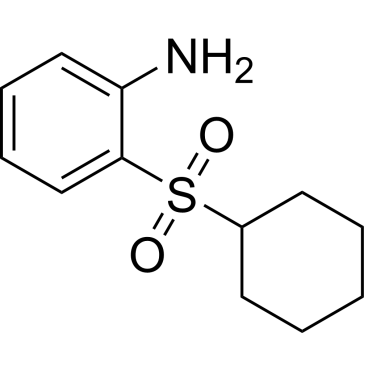2-Cyclohexanesulfonyl-phenylamine|CS-M3659