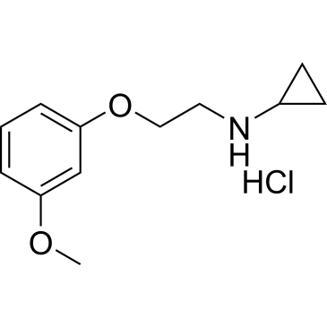 Cyclopropanamine, N-[2-(3-methoxyphenoxy)ethyl]-, hydrochloride 1:1|CS-W000329