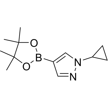 CS-W000818