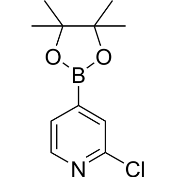 2-Chloro-4-(4,4,5,5-tetramethyl-1,3,2-dioxaborolan-2-yl)pyridine|CS-W000937