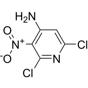 2,6-Dichloro-3-nitropyridin-4-amine|CS-W003036