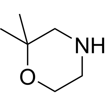 2,2-Dimethyl-morpholine|CS-W003622