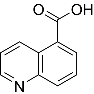 CS-W004029