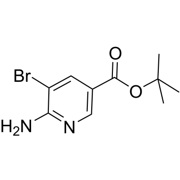 tert-Butyl 6-amino-5-bromonicotinate|CS-W004182