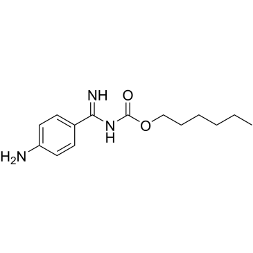 hexyl ((4-aminophenyl)(imino)methyl)carbamate|CS-W004364