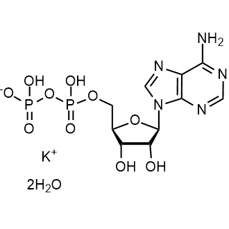 Adenosine 5'-diphosphate monopotassium salt dihydrate|CS-W009617