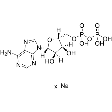 CS-W011507