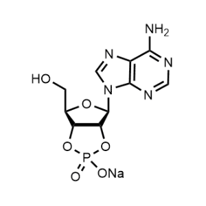 Adenosine 2',3'-cyclic phosphate sodium|CS-W011972