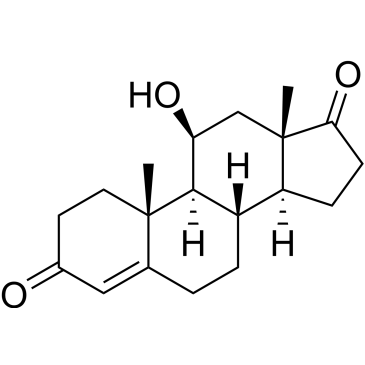 11-Beta-hydroxyandrostenedione|CS-W012117