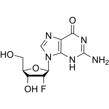 2′-Deoxy-2′-fluoroguanosine|CS-W012234