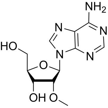 2'-O-Methyladenosine|CS-W012268