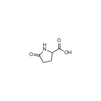 DL-Pyroglutamic acid|CS-W013454