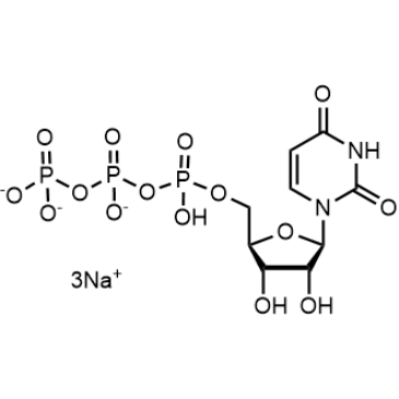 Uridine triphosphate trisodium salt|CS-W013809