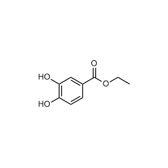 Ethyl 3,4-dihydroxybenzoate|CS-W017125