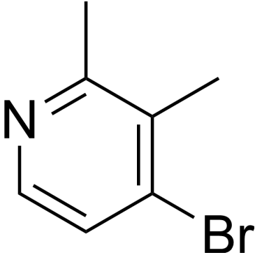 CS-W019605