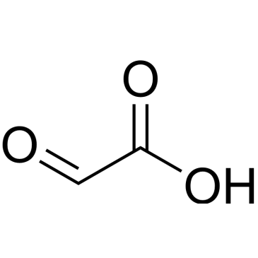 CS-W019807