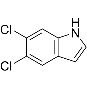 CS-W019826