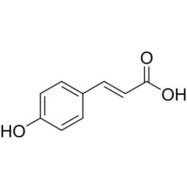 CS-W020394