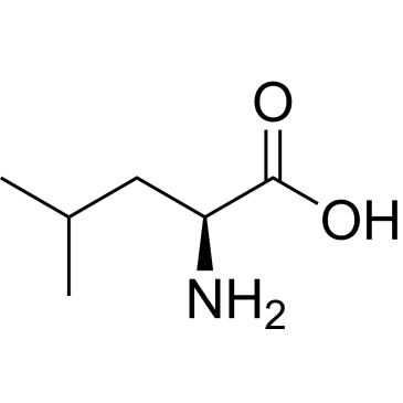 CS-W020705