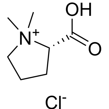 CS-W020707