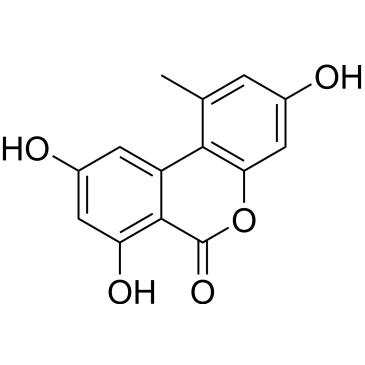 CS-W020863