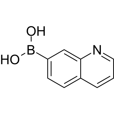 7-Quinolinylboronic acid|CS-W023189